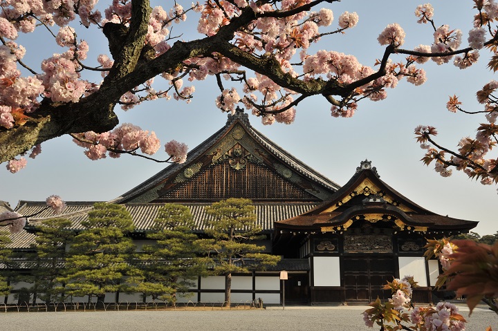 京都 奈良１日 食事なし 二条城 金閣寺 京都御所 東大寺 奈良公園 春日大社 京都発着 プラン一覧 Sunrise Tours Jtb
